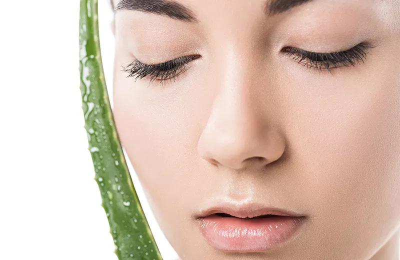 The Miraculous Aloe Vera: A Comprehensive Guide to its Skin and Pharmacological Properties 