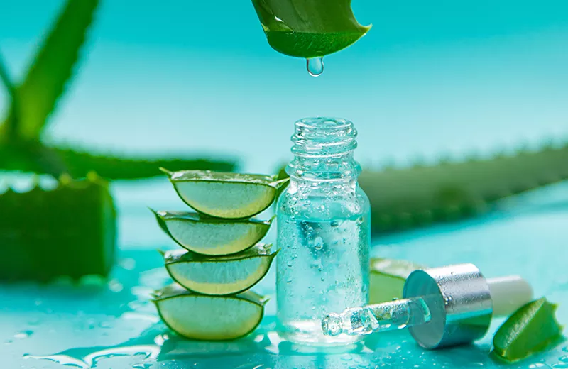 Glyconutrients in Aloe Vera - Nature's Secret Weapon Against Inflammation