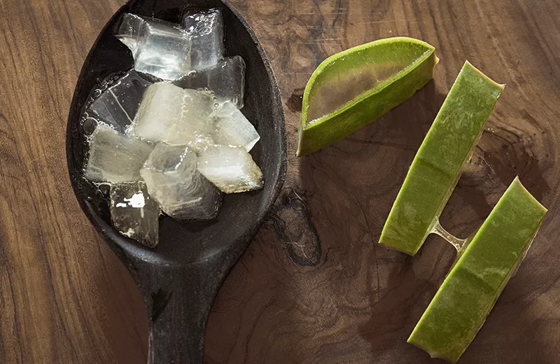 Is Aloe Vera Skin Toxic?